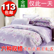 特价包邮 全棉斜纹 2012夏季秒杀半活性印花婚庆单双人床品四件套