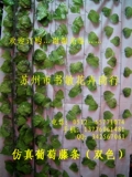 批发绕空调管子/吊顶/仿真葡萄叶双色/绢花/假/装饰/人造塑料藤条