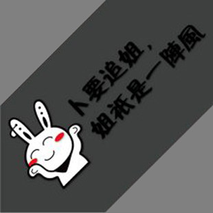 流氓兔 兔斯基 搞笑车贴 多贝特 反光贴汽车贴纸 进口反光膜