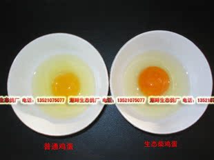  散养柴鸡蛋 笨鸡蛋 草鸡蛋土鸡蛋 蚯蚓原粮饲喂纯绿色有机柴鸡蛋