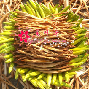  特价两斤装 湖南祁东黄花菜干 纯天然手工制做金针菜 脱水蔬菜