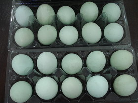 Beijing Pinggu specialty Farm Backyard Duck's egg foodstuff Leaves Grow up Pregnant tonicin the Aquatic meat/Fresh fruits and vegetables/Cooked , Egg/Egg Products , Fresh eggs , Eggs category - from Buy2taobao.com to provide professional Taobao agent buy service