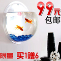鱼缸 卡塔尼 亚克力 生态迷你 挂墙 创意礼品 室内装饰壁挂水族箱