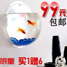 鱼缸 卡塔尼 亚克力 生态迷你 挂墙 创意礼品 室内装饰壁挂水族箱