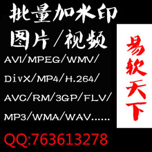 ��Ƶ/ͼƬ/������ˮӡ AVI��MPEG��WMV��DivX��MP4/jpeg/bmp/gif
