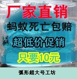 taobao english 12230603464