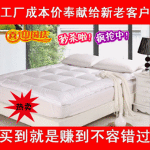 限量低价抛售 热销欧美 超软羽绒床垫、羽绒垫子、床褥 不容错过