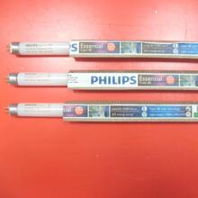 philips/������ T5 �ƹ� ӫ��ƹ� TL-5  8W/14W21W/28W