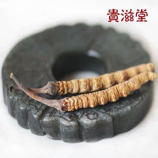  西藏产地直销西藏那曲精选冬虫夏草虫草王2.5条/克包邮