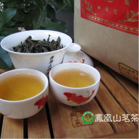 特级浓香奇兰香凤凰单丛/凤凰茶叶/潮州凤凰单丛单枞茶叶香气浓郁