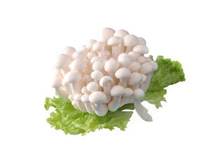  中国有机绿色食品专营 天地生 白玉菇500g 新鲜蔬菜 北京满百包邮