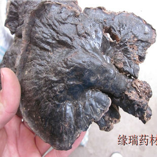  云南纯天然野生黑灵芝紫灵芝 假一赔命 只卖识货的您
