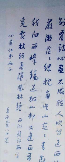 宝贝图片