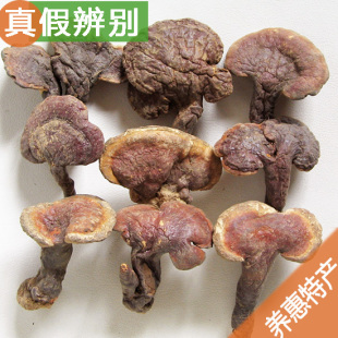  2份包邮 天然原生态 云南纯野生灵芝/整枝灵芝赤芝250g 约7cm少蛀