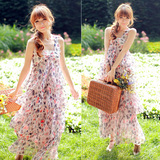 2012新夏 波西米亚V领碎花蝴蝶雪纺吊带连衣裙沙滩裙大摆拖地长裙
