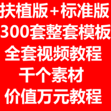 淘宝店铺装修 网店模板全套 标准版+扶植版 新手免费送工具