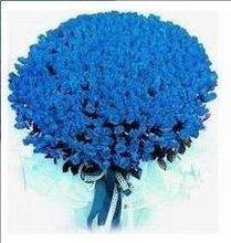 生日鲜花-长宁花店-徐汇花店-黄埔花店-上海花店-999朵蓝玫瑰在类目 鲜花速递/花卉仿真/绿植园艺, 鲜花速递(同城)中 - 来自Buy2taobao.com提供专业的淘宝代购服务