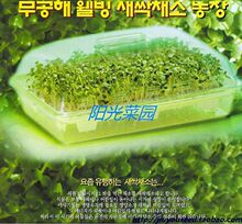 芽菜盘 芽苗菜育苗盘 芽苗菜盘 育苗盘 芽苗菜种植盘 芽菜栽培器