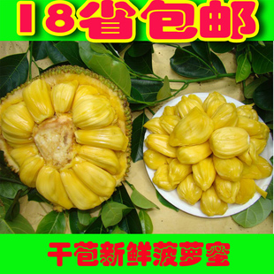  热带新鲜水果 新鲜菠萝蜜干 干苞 海南菠萝蜜 包邮 马来西亚1号
