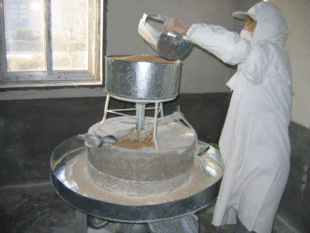  山西农家自磨小麦面粉-旱地小麦包装-面包粉