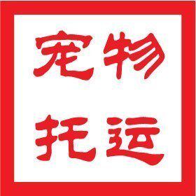 Xiamen zero air air air dog cat pet pet shipping services three-set