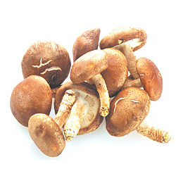  绿光味影 新鲜香菇 孕妇炖鸡宝宝营养 金钱菇 优质冬菇农场直销