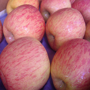  【果VC】栖霞红富士苹果15斤/箱 烟台红富士苹果 新鲜水果苹果