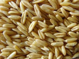  农家五谷杂粮 特产燕麦米 燕麦仁 煮粥好伴侣 减肥抗衰老 燕麦