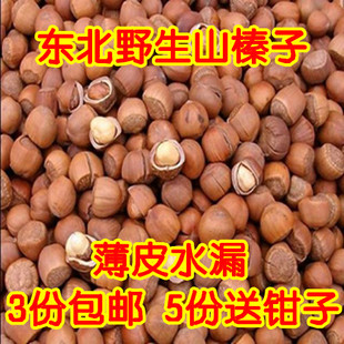  东北野生薄皮水漏山榛子 新货原味不开口铁岭开原小榛子 3份包邮