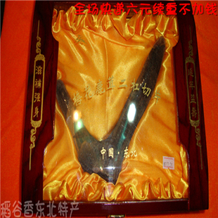  头茬二杠 整支干鹿茸 每克7.99元 头茬鹿茸 长白山干鹿茸 整枝