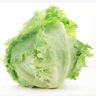  中国有机绿色食品专营 天地生 有机团生菜500g 北京满百包邮