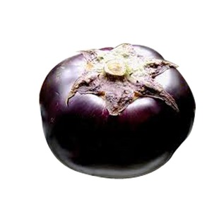  中国有机绿色食品专营 天地生 圆茄子500g 北京满百包邮