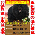 PetTime藏獒专用幼犬狗粮20kg 萨摩耶哈士奇松狮犬适用全国包邮