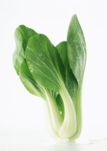  中国有机绿色食品专营 天地生 有机油菜500g 北京满百包邮