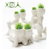 X恋人/情侣小白人魔草种植/桌上盆景/迷你植物 亲密无间
