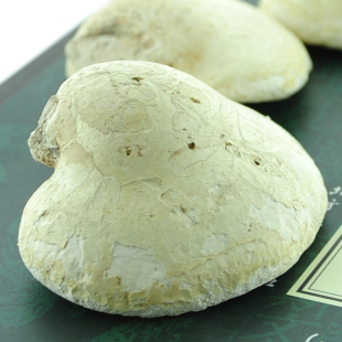  长白山野生白灵芝  玉芝 可切块