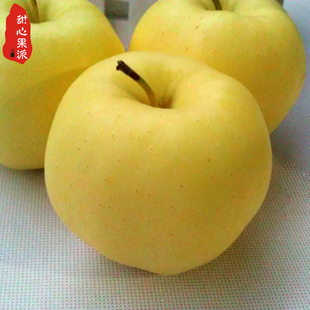  新鲜水果 甘肃特级黄蕉苹果 黄元帅苹果 优质粉苹果 7.5元/斤