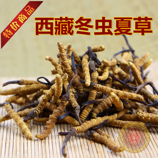  聚草堂 那曲冬虫夏草 西藏新虫草同仁堂批发4条/克 正品礼盒
