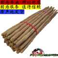 焦作 温县铁棍山药 怀山药 2011新鲜铁棍山药 冰糖铁棍淮山 包邮