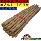 焦作 温县铁棍山药 怀山药 2011新鲜铁棍山药 冰糖铁棍淮山