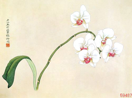 苏绣DIY套件初学 蝴蝶兰 40*30 高档礼品 手工刺绣装饰画|msdalam kategori rumah Fabrik, sulaman Kit, sulaman - dari Buy2taobao.com untuk memberikan perkhidmatan ejen Taobao profesional membeli