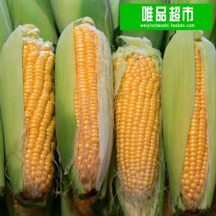 【唯品超市】绿色食品新鲜蔬菜 甜玉米 包谷长