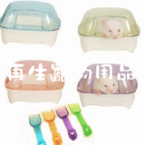 taobao english 1855703227
