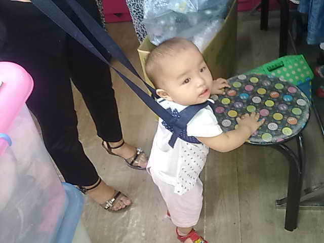特价 正品 佳宁婴幼儿学步带 宝宝学步带 本店购物即可5元换购|msdalam kategori lampin/Xihu/makan/push pelarik, tali/Anak Kecil/barang perjalanan, Anak Kecil - dari Buy2taobao.com untuk memberikan perkhidmatan ejen Taobao profesional membeli