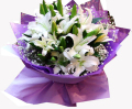 缘梦鲜花 百合花 白色香水百合 生日鲜花速递 上海鲜花店送花全国