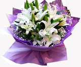 缘梦鲜花 百合花 白色香水百合 生日鲜花速递 上海鲜花店送花全国
