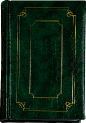 T1bgljXh1Fr0NPxkLa_092038.jpg_310x310.jpg