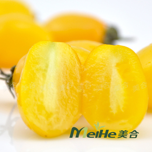  美合 云南黄圣女果 小番茄 净6斤/箱 江浙沪包邮 新鲜蔬菜