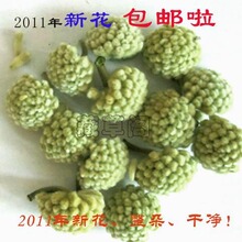藏草阁 特级整朵绿萝花 免运费 野生西藏新货降血糖茶降血压 包邮