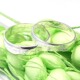豆豆小铺 tiffany经典魔戒